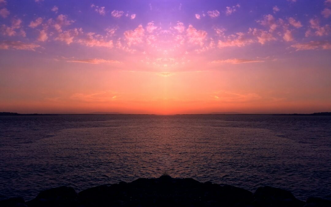 Blog Free